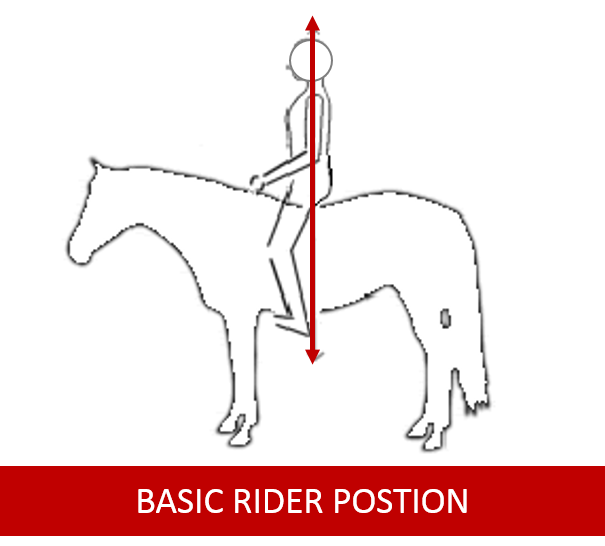 Basic-rider-postion | Horse Courses Online