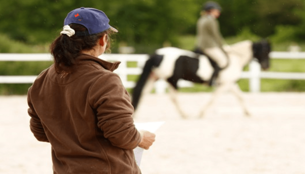 Therapeutic Riding Instructor Horse Courses Online