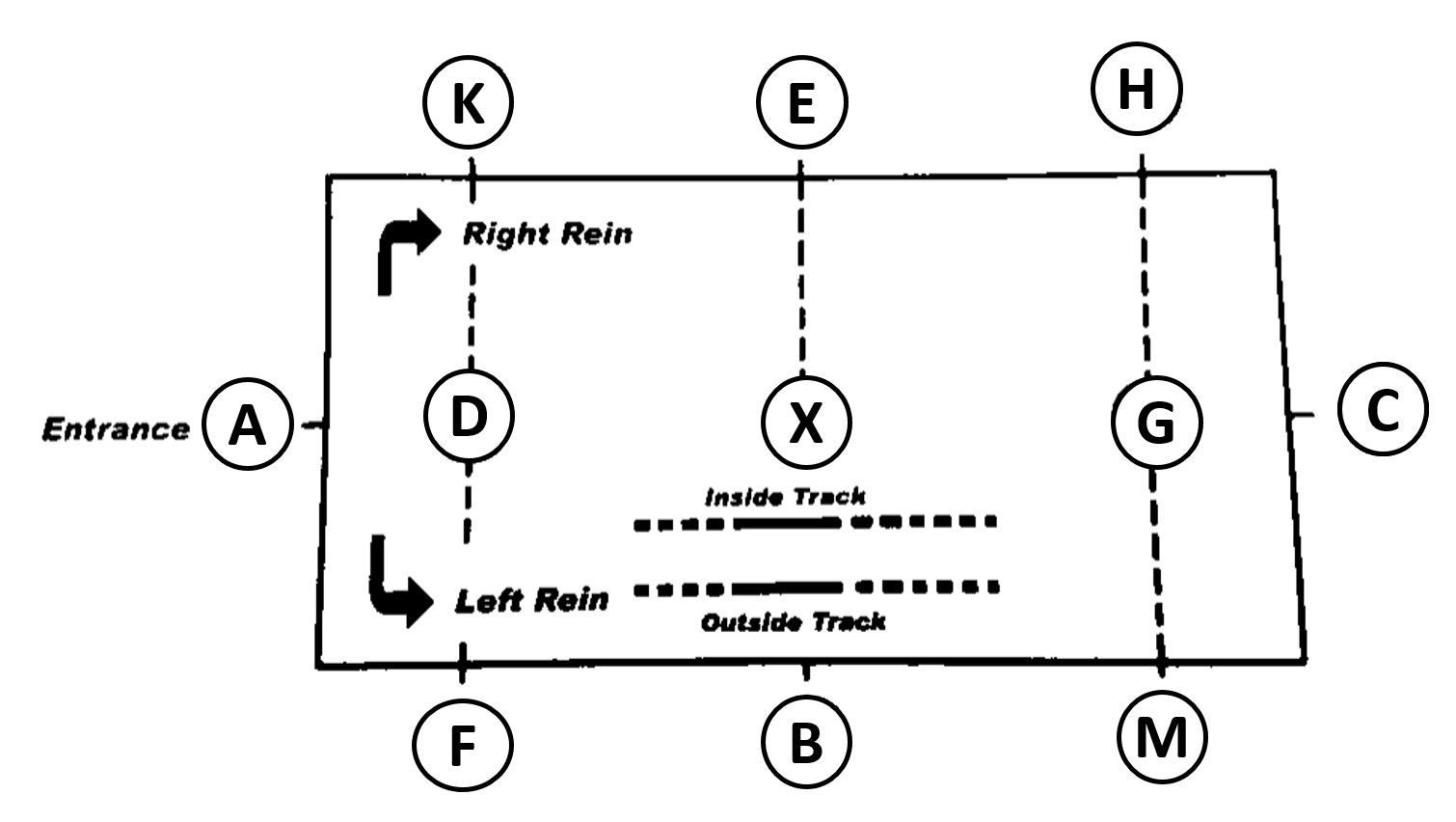 arena rules | Horse Courses Online