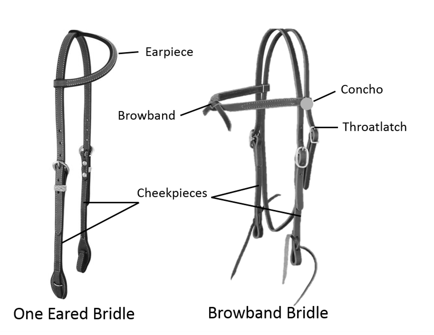 black and white bridles | Horse Courses Online