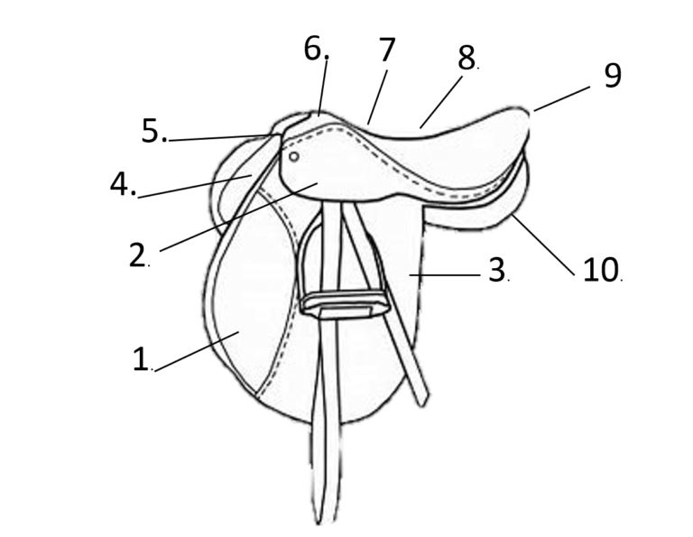 English Saddle Parts HORSE COURSES ONLINE