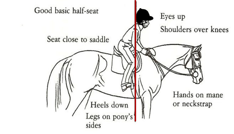 good basic half seat | Horse Courses Online