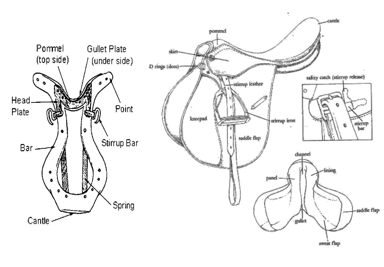 saddle inside | Horse Courses Online