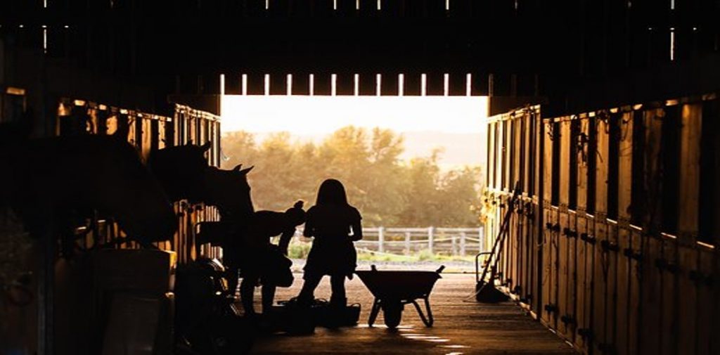 Running A Stable Business HORSE COURSES ONLINE