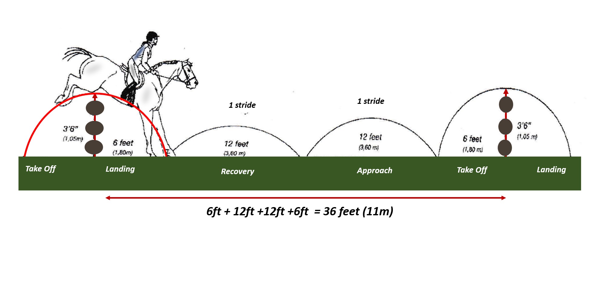 Counting Canter StepsStrides - HORSE COURSES ONLINE