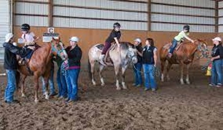 Therapeutic Riding Aspects